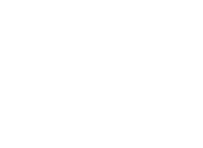 Brown Sherman Team